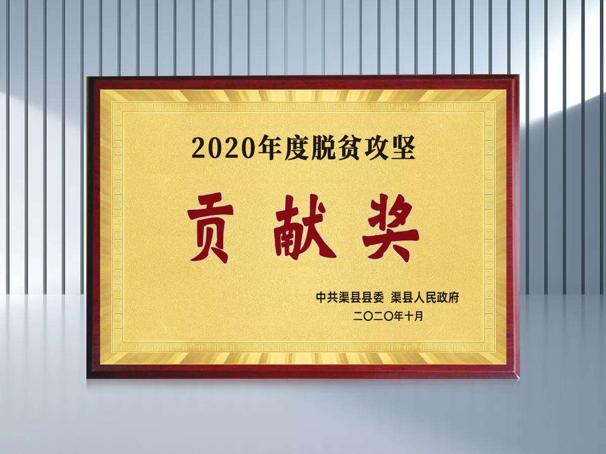 07_资质荣誉