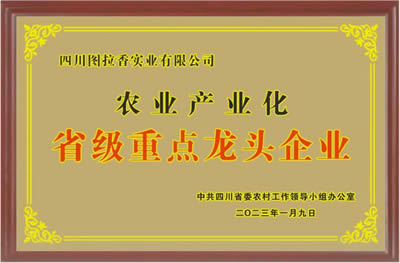 01_品牌荣誉