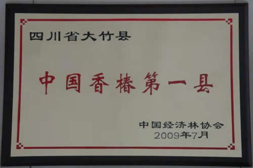 03_品牌荣誉
