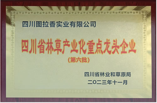 06_品牌荣誉