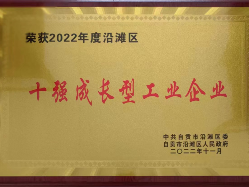03_十强成长型工业企业
