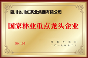 02_荣誉奖项