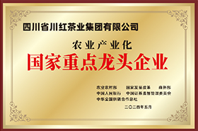01_荣誉奖项