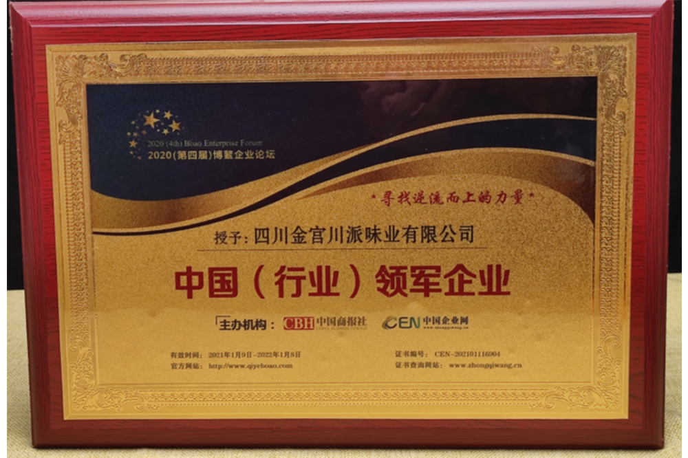 01_中国（行业）领军企业