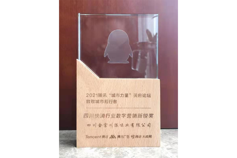 04_四川快消行业数字营销新锐奖