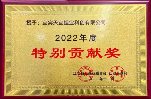 16_2022年度特别贡献奖