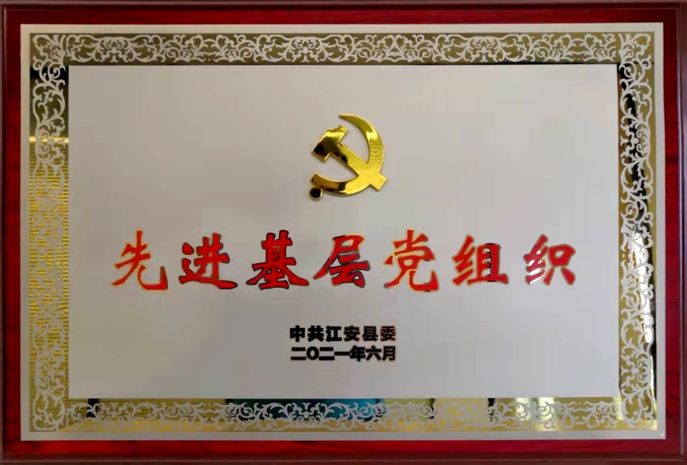 10_10先进基层党组织奖牌