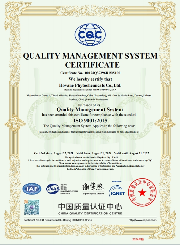 ISO9001