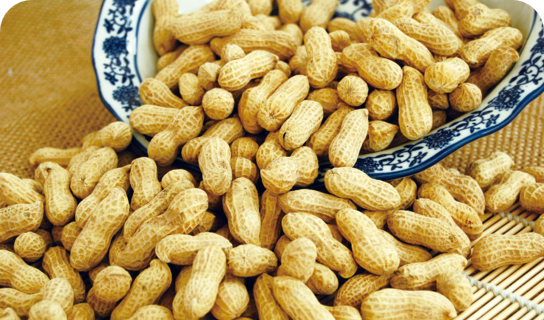 Shelled Peanuts
