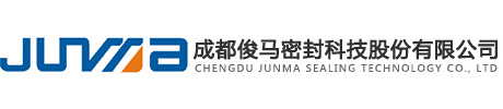 Chengdu Junma Dichtungstechnik AG