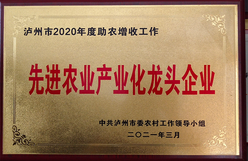 12_未标题-9