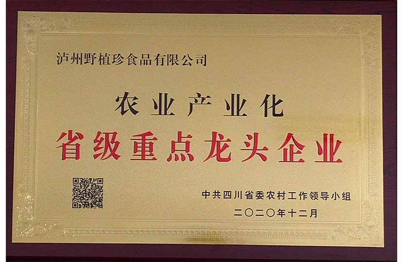 10_未标题-7