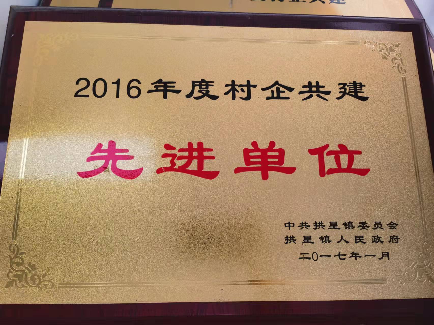 16_致远2016村企共建先进单位