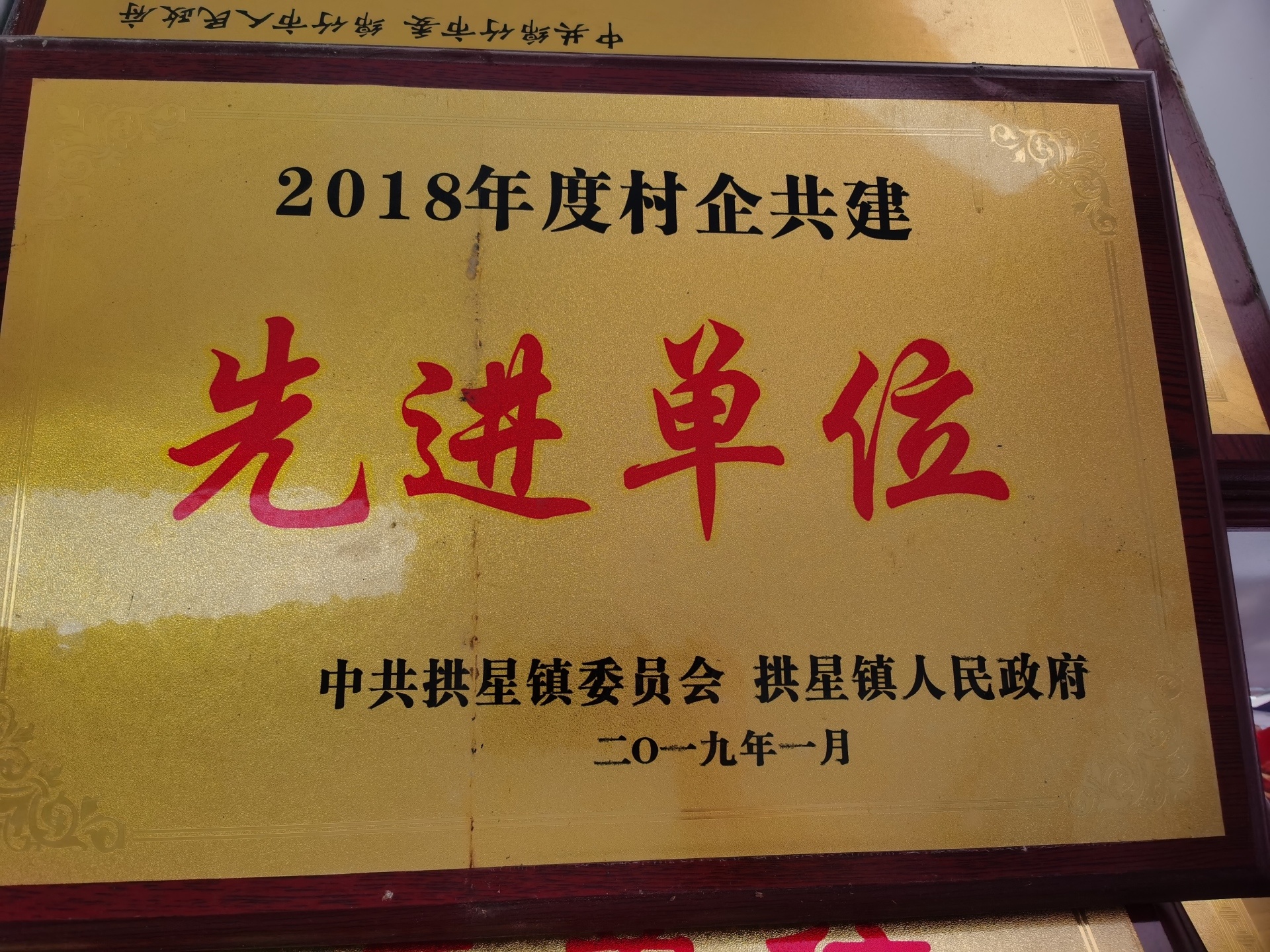 13_致远2018村企共建先进单位