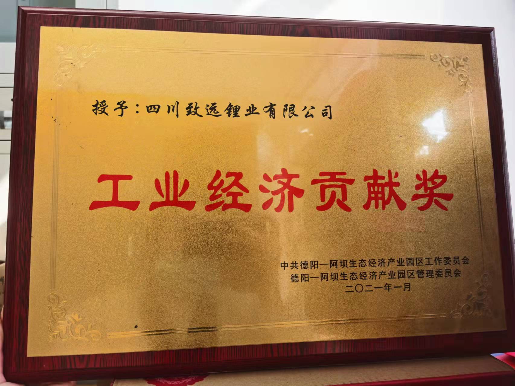 20_致远工业经济贡献奖