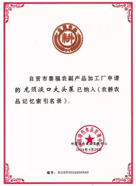 13_荣誉资质